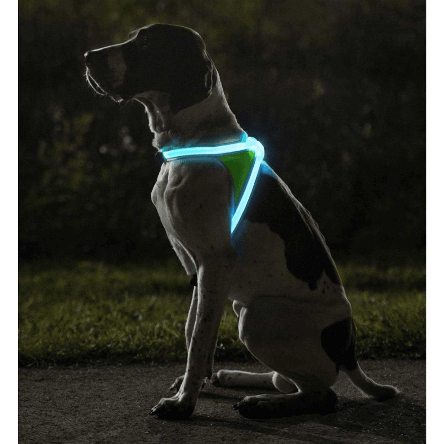 Noxgear LightHound LED Illuminated & Reflective Dog Harness - Healthber