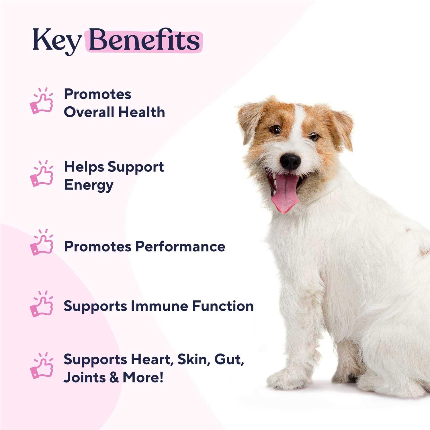 Pawfy Multivitamin Chews - Healthber