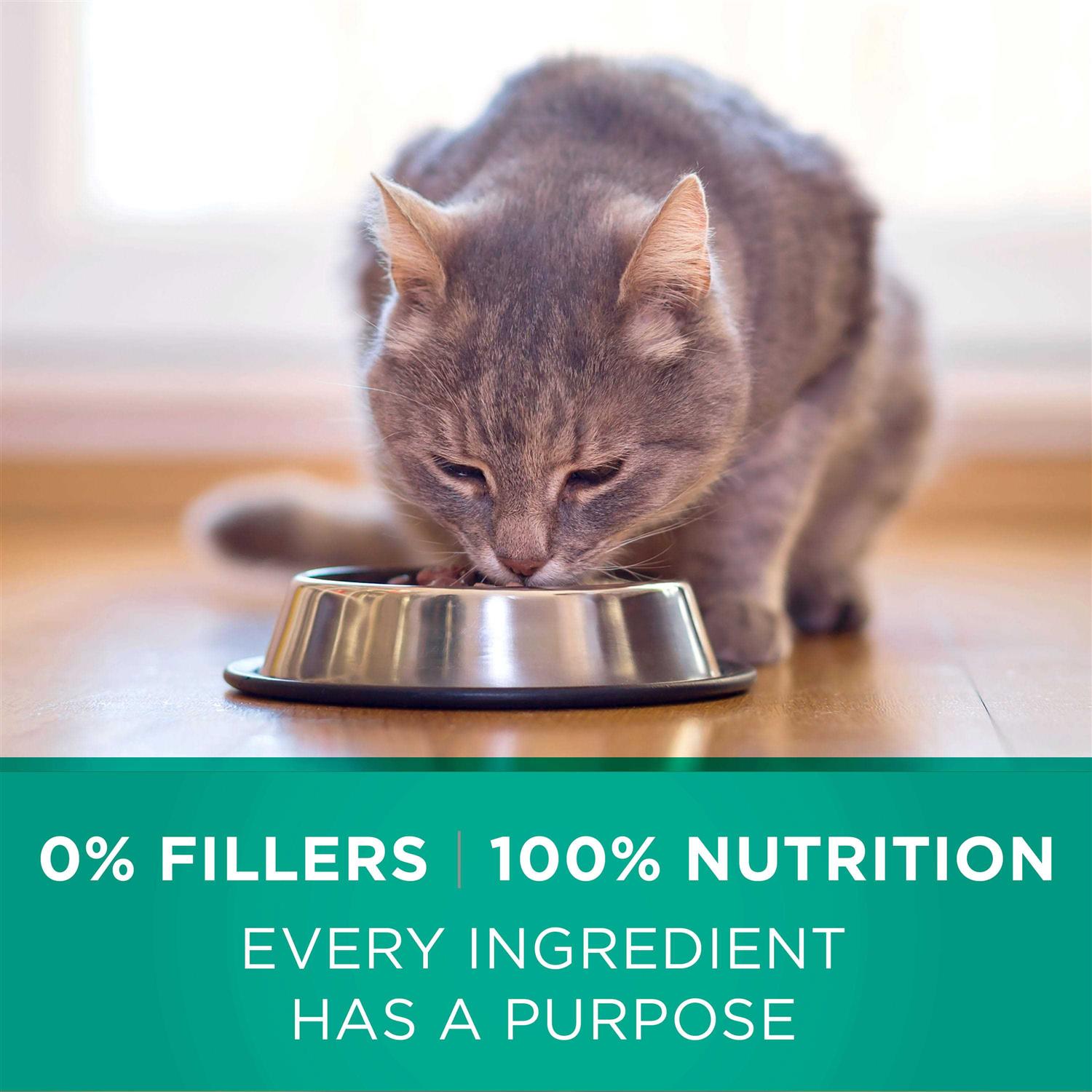 Purina ONE Sensitive Systems Dry Cat Food - Healthber