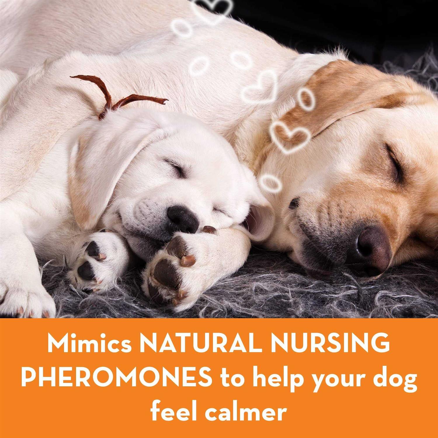 ThunderEase Calming Diffuser Kit Dog - Healthber