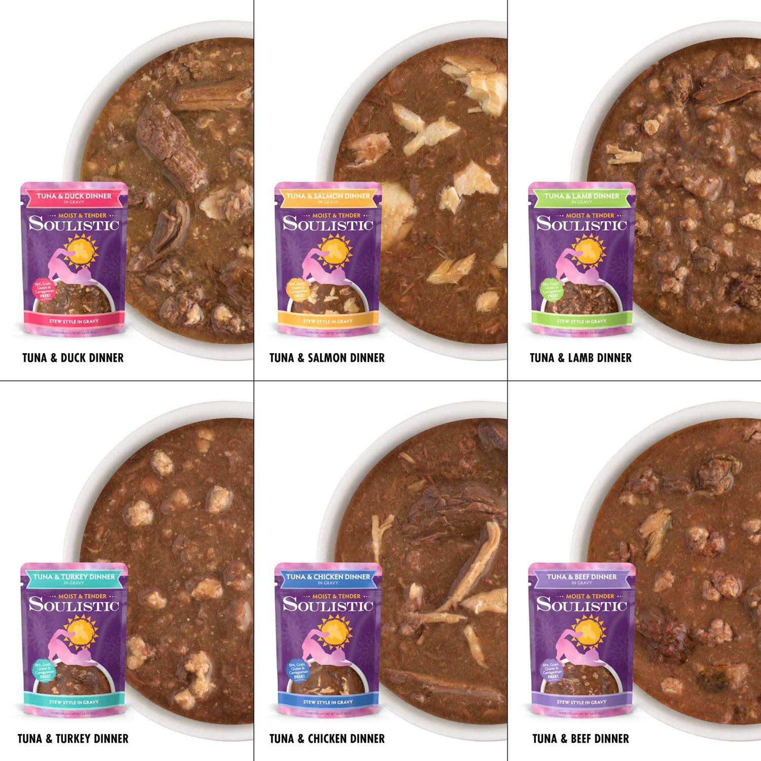 Soulistic Moist & Tender Variety Pack Wet Cat Food - Healthber