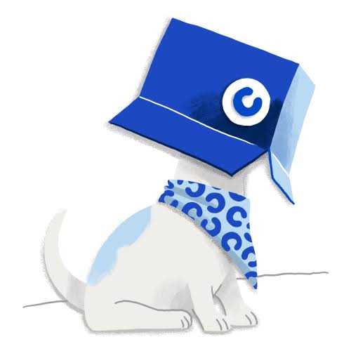 Ourpets Sushi Interactive Puzzle Game Dog Toys & Cat Toys Great Alternative to Snuffle Mat for Dogs - Healthber
