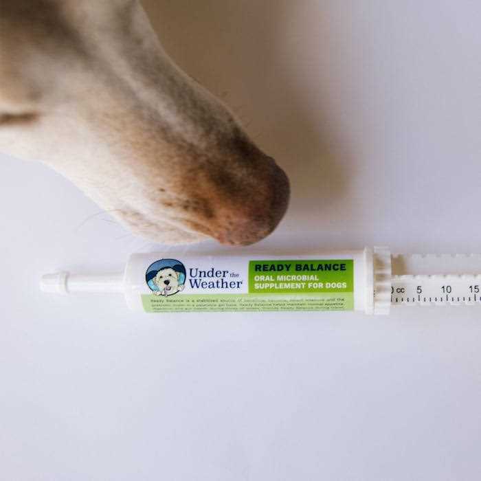 Under the Weather Ready Balance for Dogs - Healthber