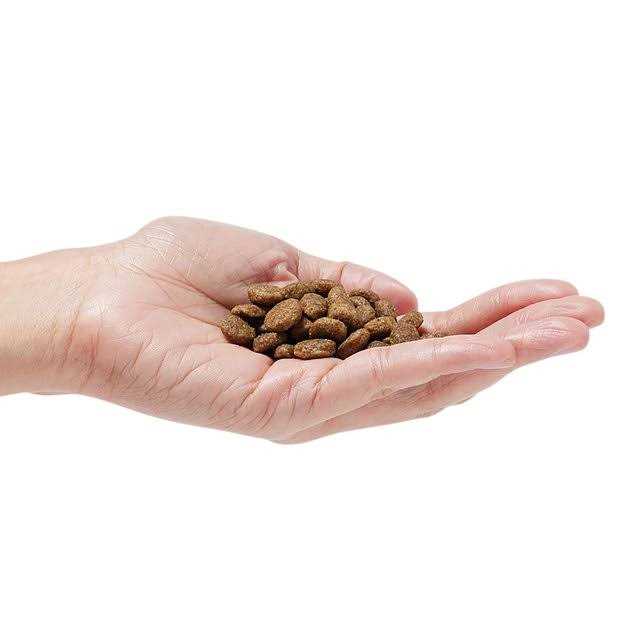 Dr. Pol Dog Food Grain-Free - Healthber