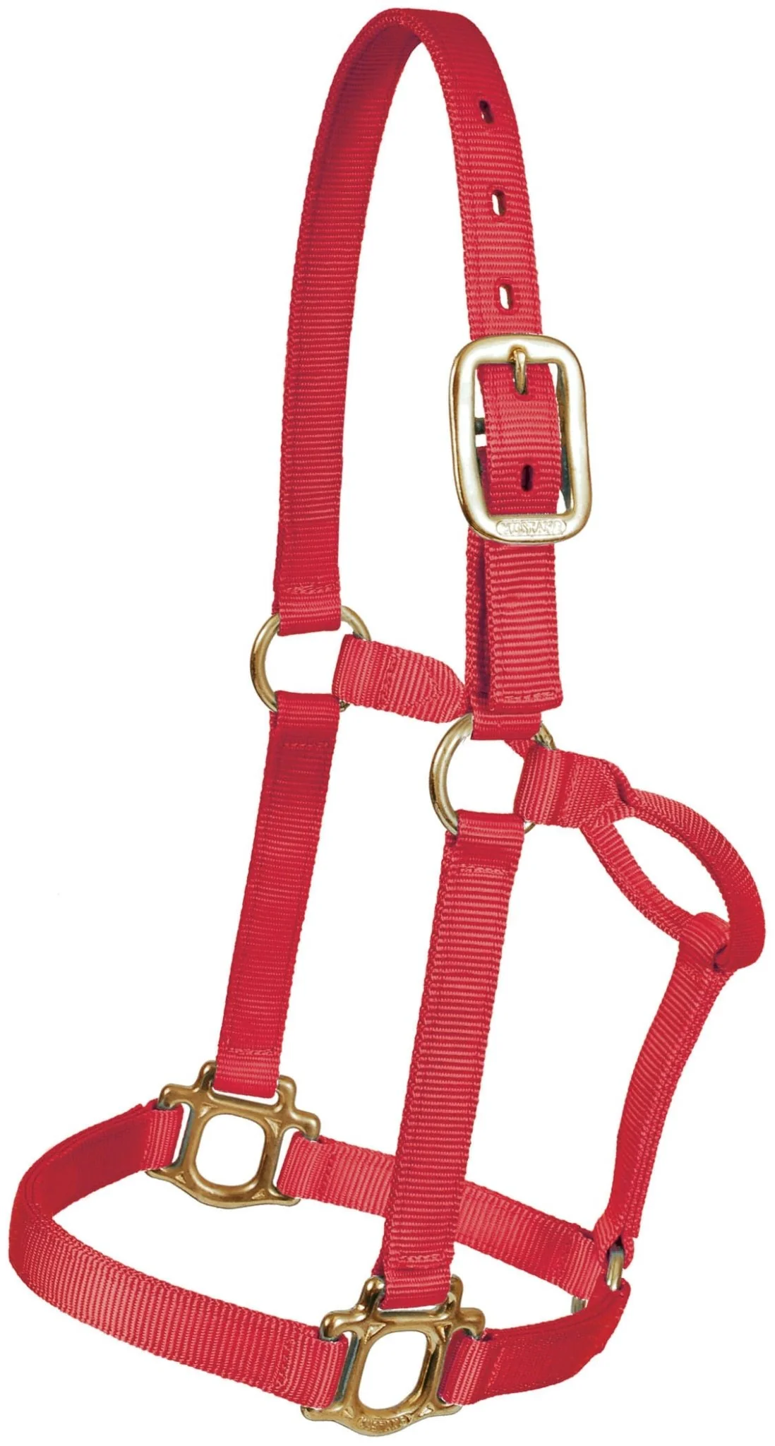 Traditional Nylon Halter, Yearling - Healthber