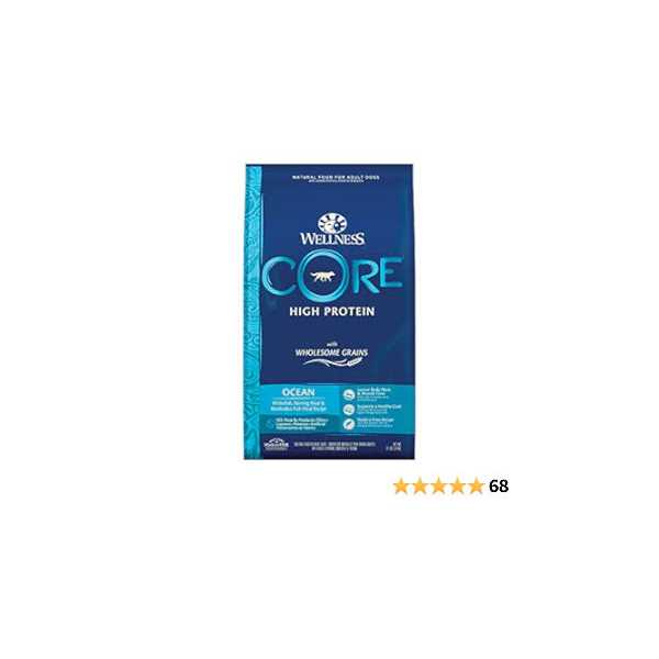 Wellness CORE High Protein Wholesome Grains Ocean Recipe Dry Dog Food - Healthber