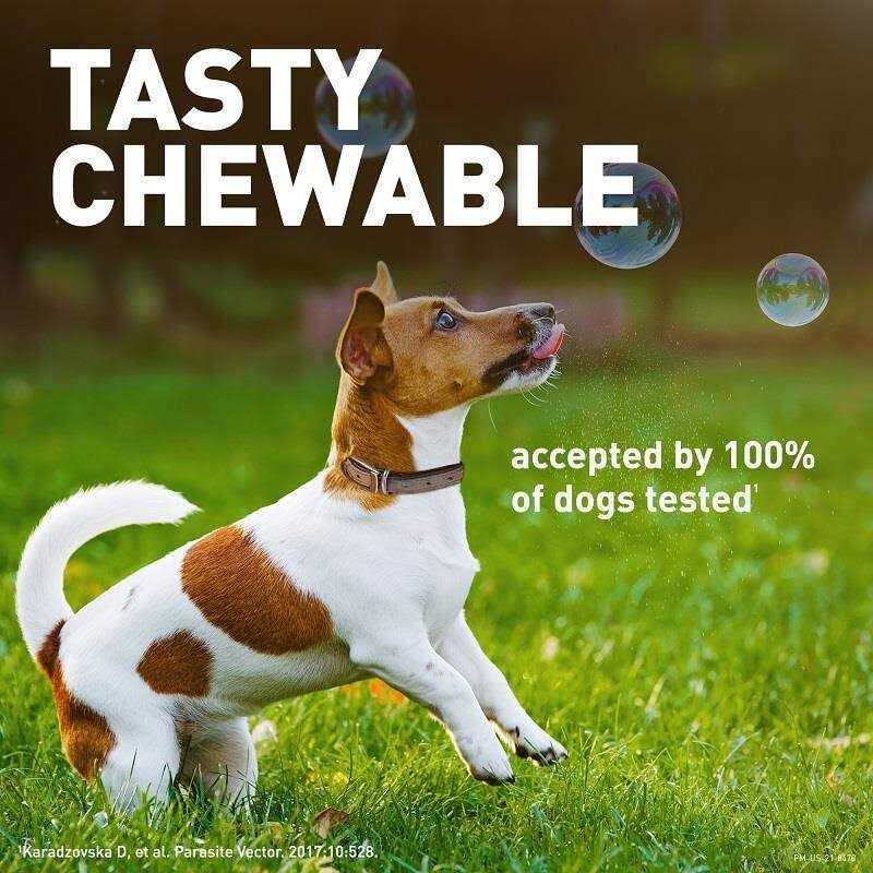 Credelio Chewable Tablet for Dogs 50.1-100 lbs - Healthber