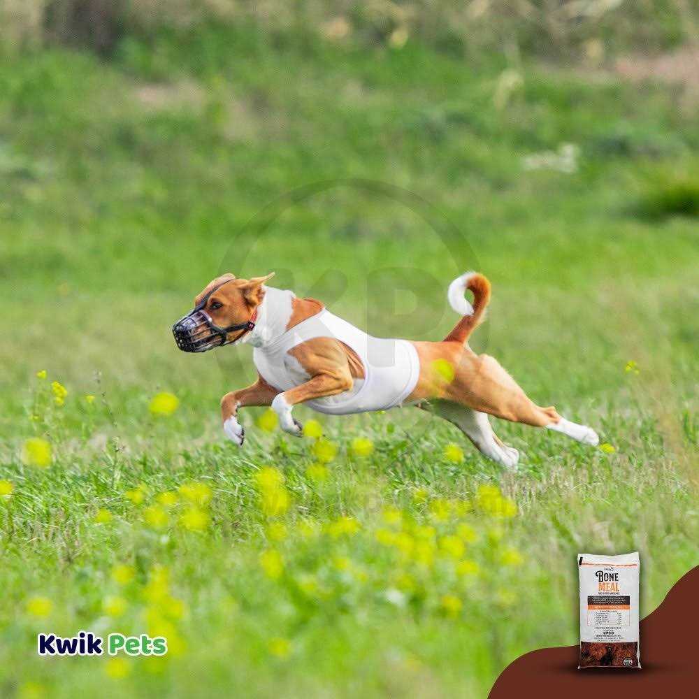 Upco Bone Meal Supplement for Dogs and Cats - Healthber