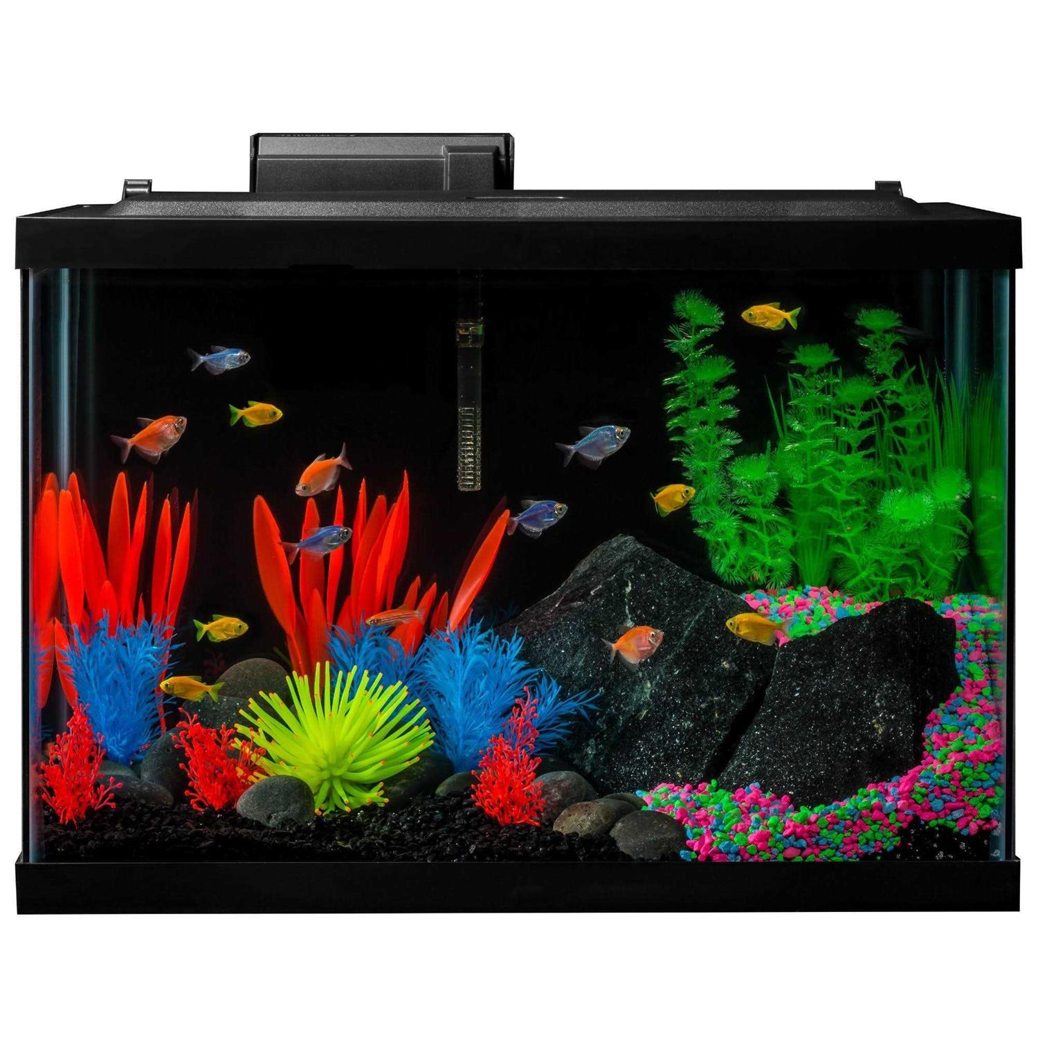 GloFish 20 Gallon Aquarium Kit with LED Lights Decor Heater and Filter - Healthber