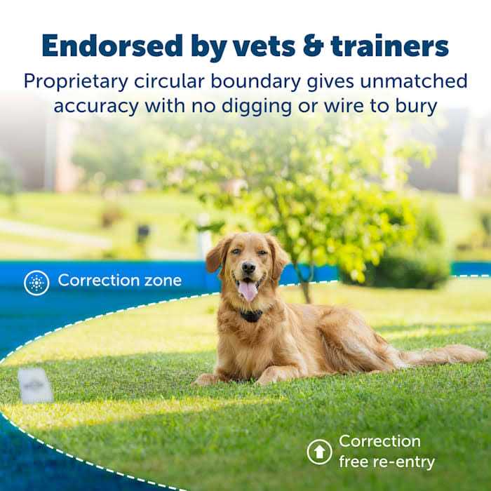 PetSafe Stay and Play Wireless Fence with Replaceable Battery Collar - Healthber