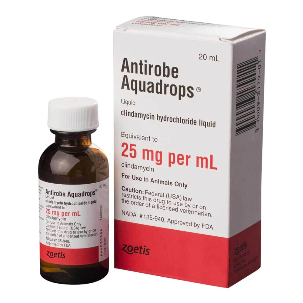 Rx Antirobe (clindamycin hydrochloride liquid) Aquadrops for Dogs & Cats, 25mg/ml x 20ml - Healthber