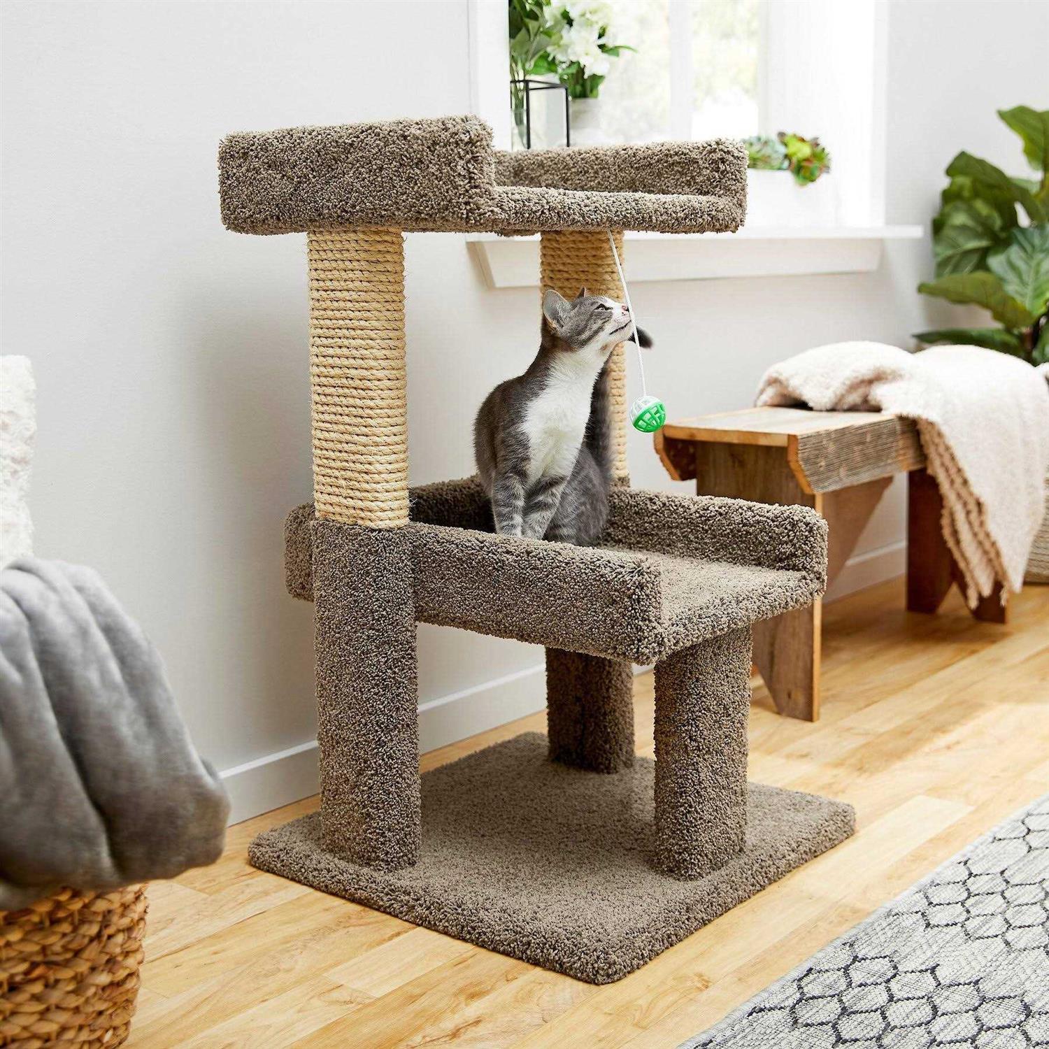 Frisco 32-in Real Carpet Wooden Cat Tree with Toy - Healthber