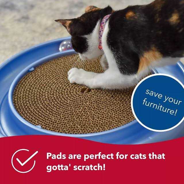 Bergan Turbo Scratcher Replacement Pads - Healthber