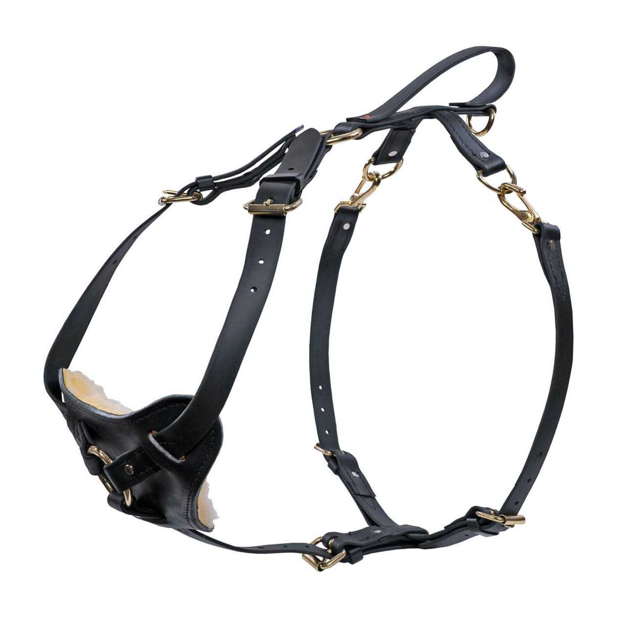 Ray Allen Manufacturing Signature K9 Biothane Multi-Function Harness - Healthber