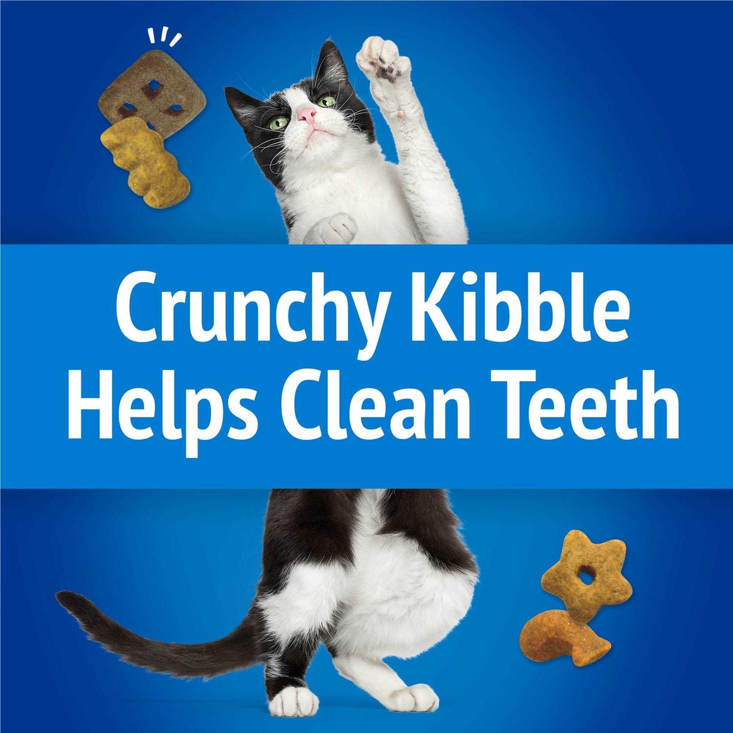 Purina Friskies Beachside Crunch Party Mix Cat Treats - Healthber