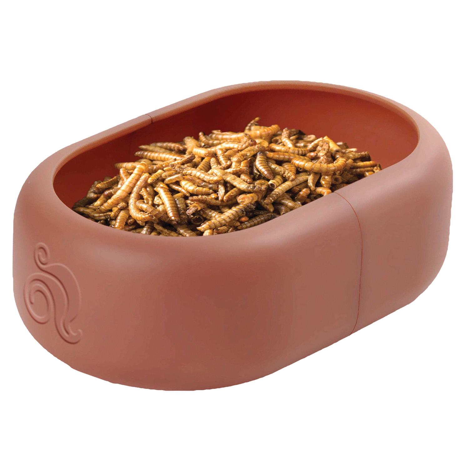 Komodo Smart Mealworm Reptile Feeding Dish for Aquarium or Reptile Tank - Healthber