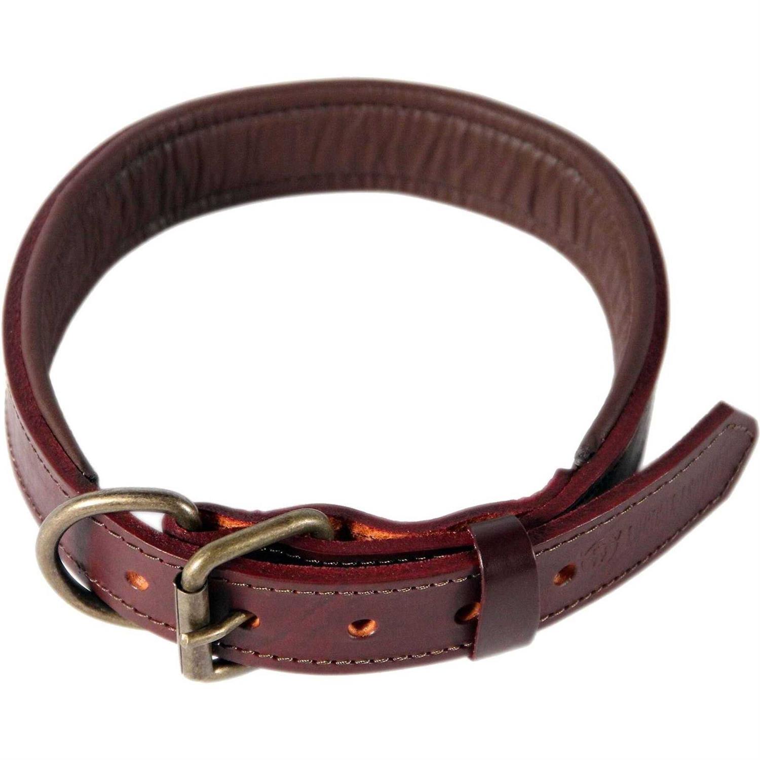 Logical Leather Padded Dog Collar Best Full Grain Genuine Leather Collar - Healthber