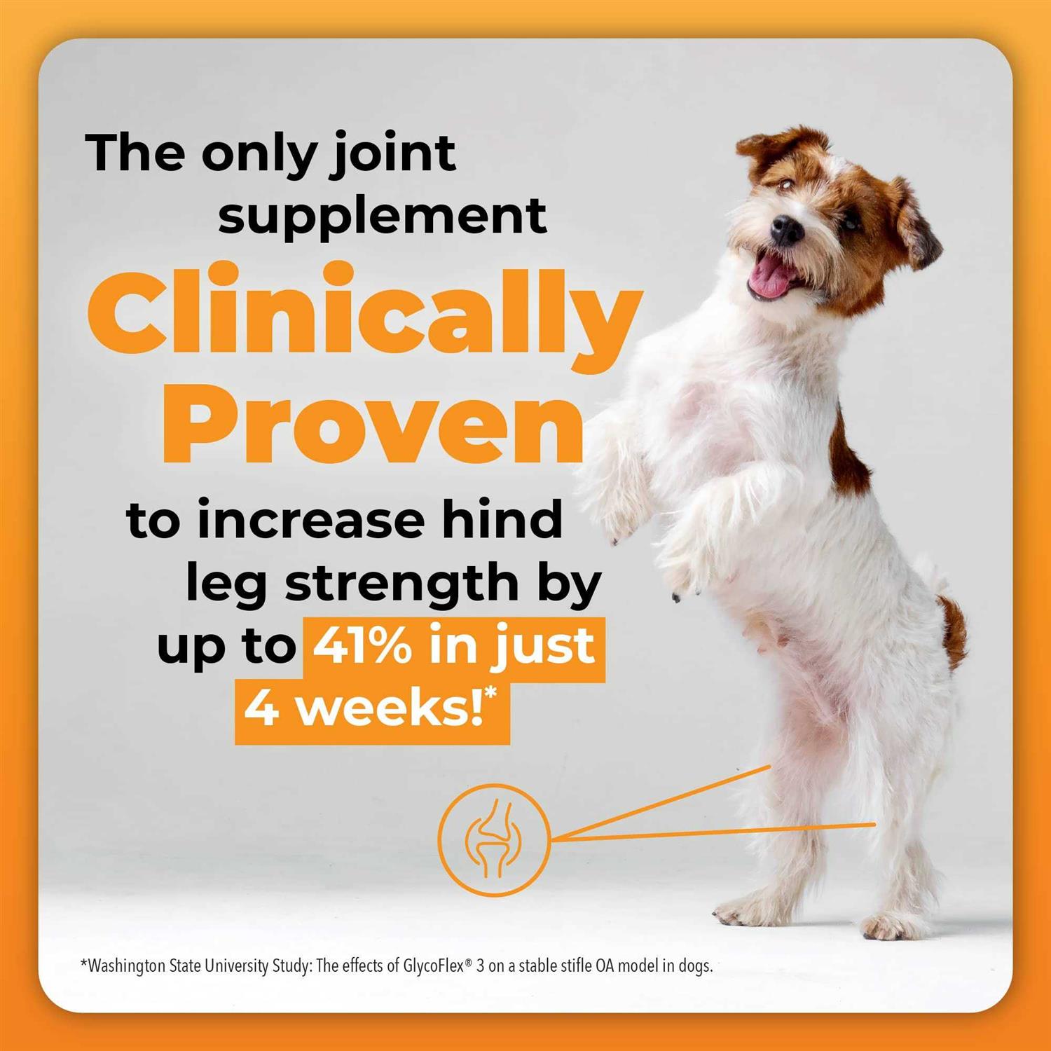 VetriScience GlycoFlex Plus Joint Supplement for Dogs - Healthber
