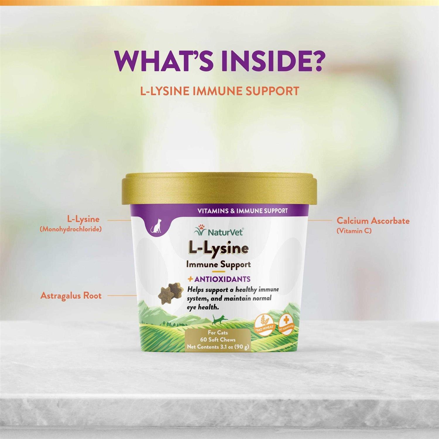 NaturVet L-Lysine Immune Support Plus Antioxidants - Healthber
