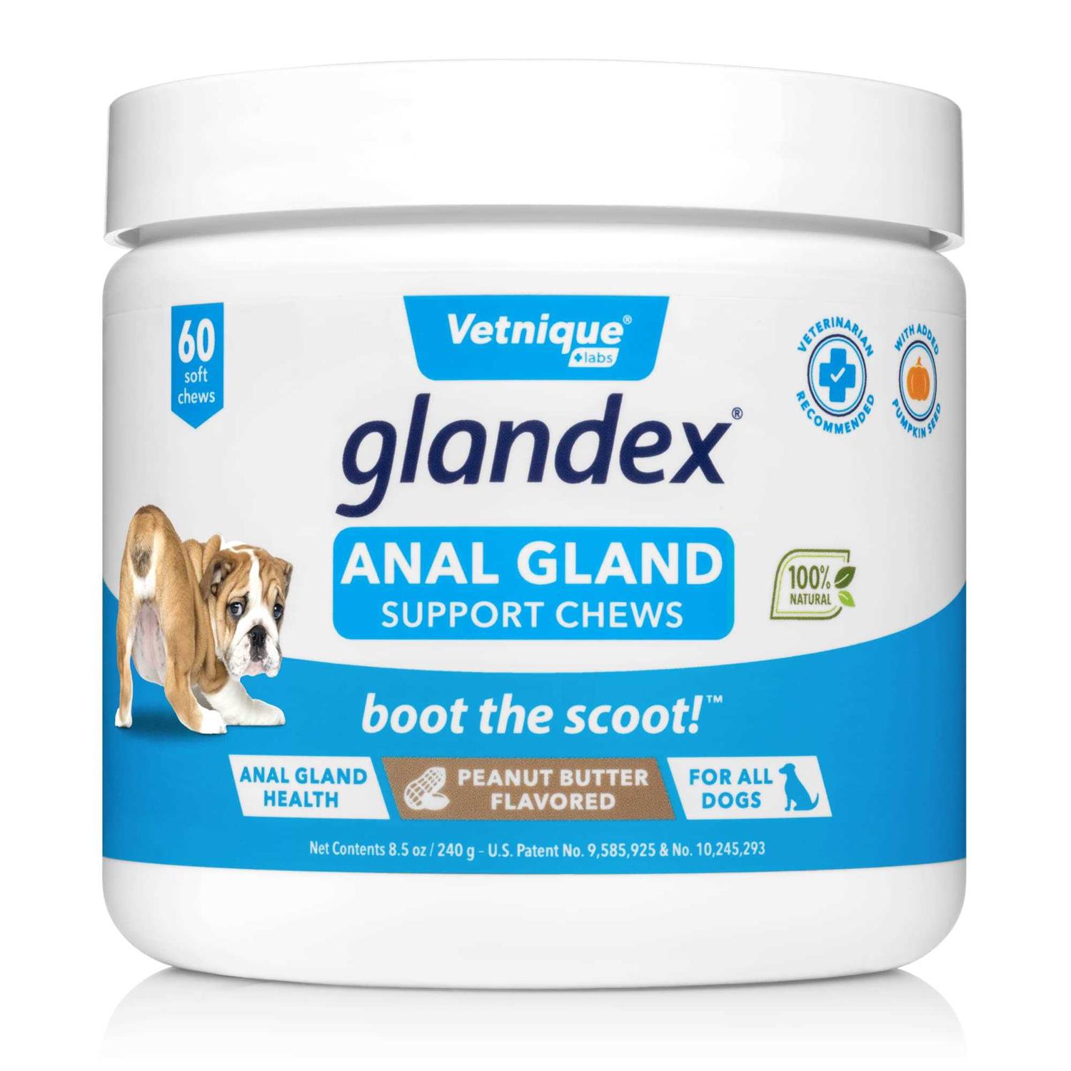 Glandex Anal Gland Soft Chews Supplement for Dogs - Healthber