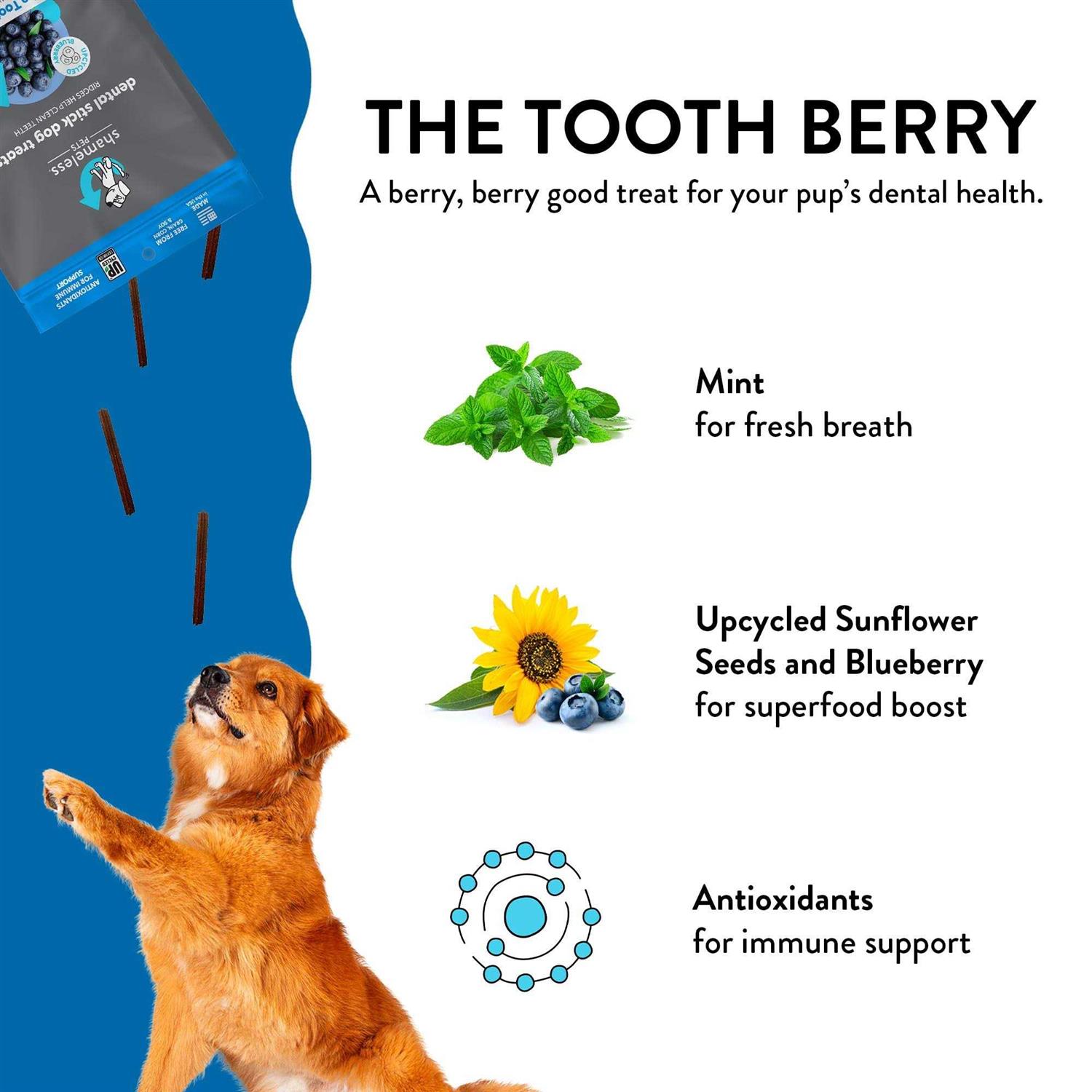 Shameless Pets Dental Stick Dog Treats The Tooth Berry - Healthber
