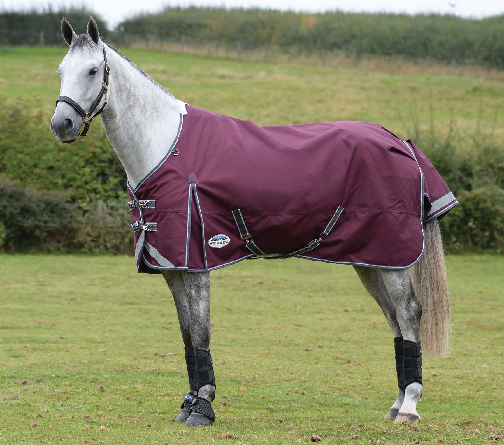 ComFITec Plus Dynamic II Standard Neck Medium Horse Blanket - Healthber