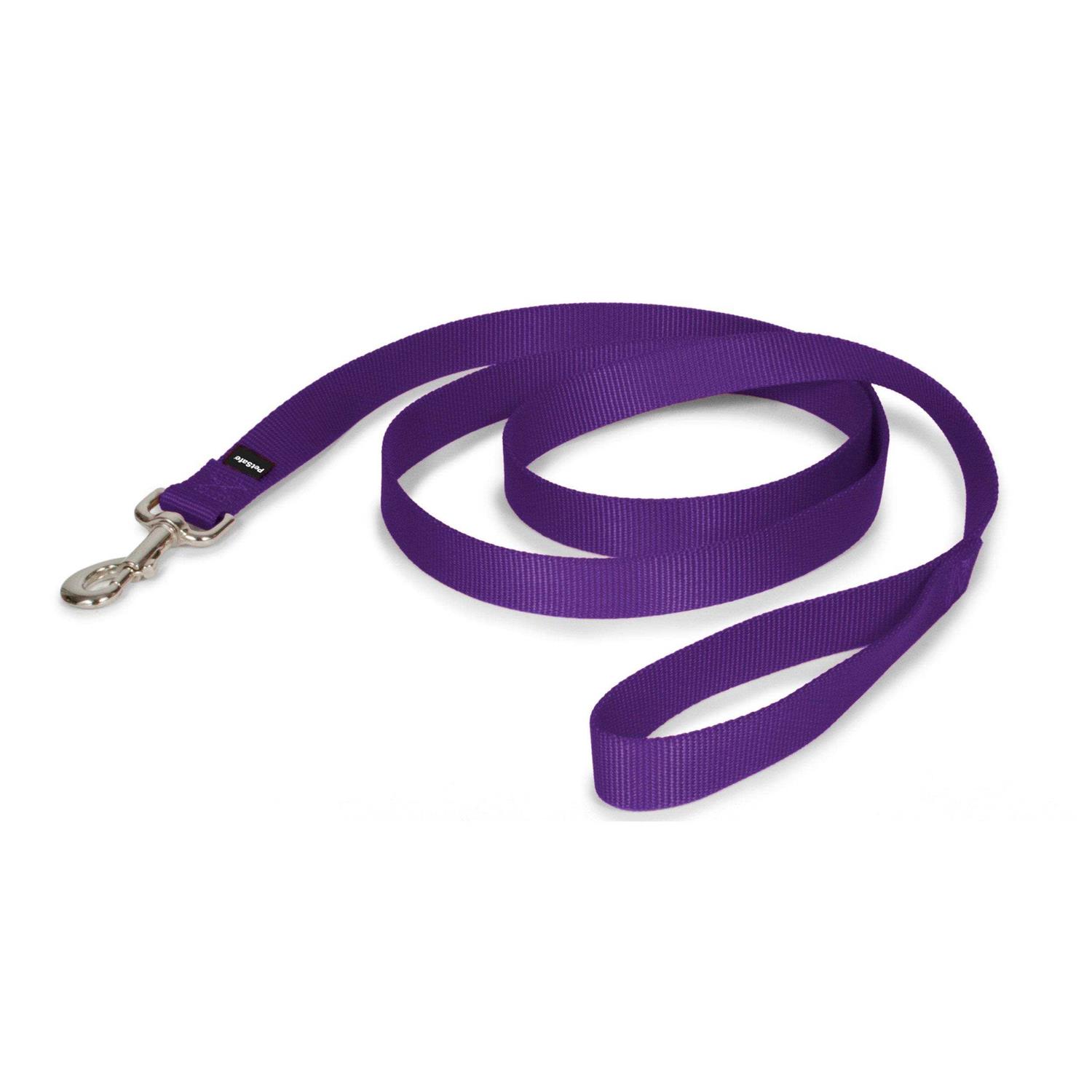 PetSafe Nylon Dog Leash - Healthber