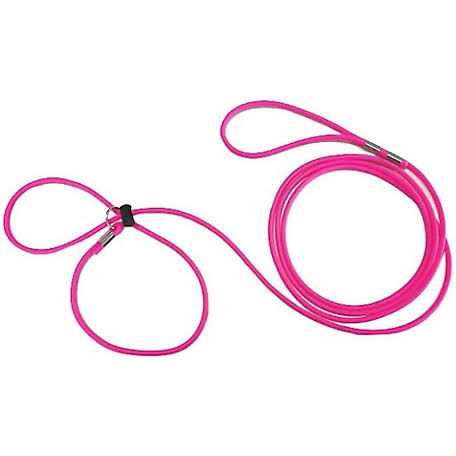 Piggy Poo and Crew Adjustable Mini Pig Harness and Leash - Healthber