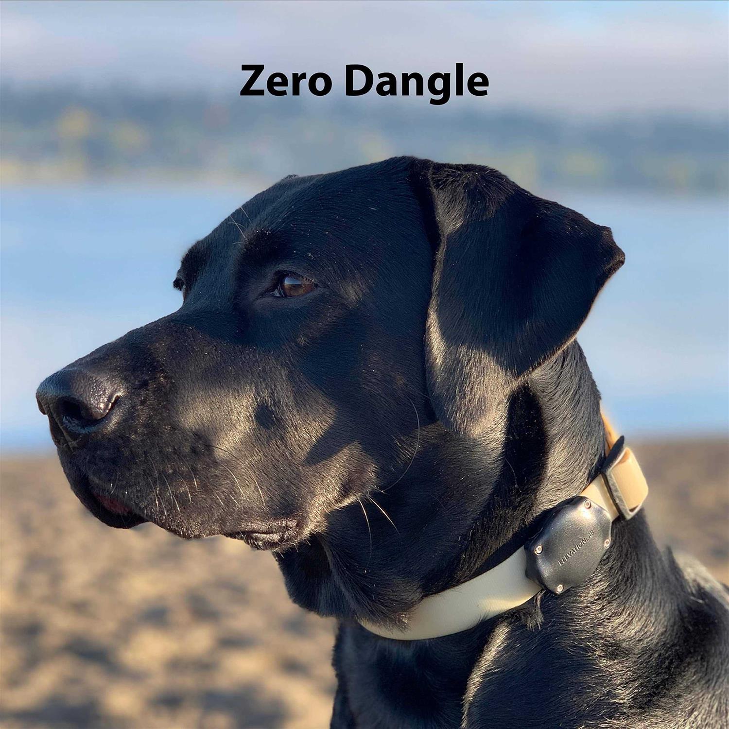Elevation Lab TagVault Pet The Original AirTag Dog Collar Waterproof Mount - Healthber