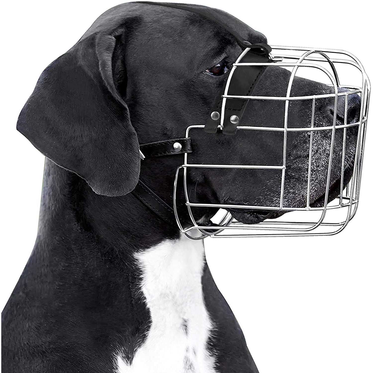BRONZEDOG Metal Dog Muzzle Wire Basket Great Dane Mastiff Saint Bernard Mask with Leather Straps Muzzles for Extra Large Dog - Healthber