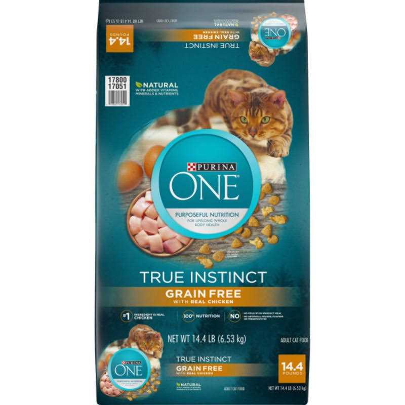 Purina ONE Natural High Protein Grain Free Dry Cat Food - Healthber