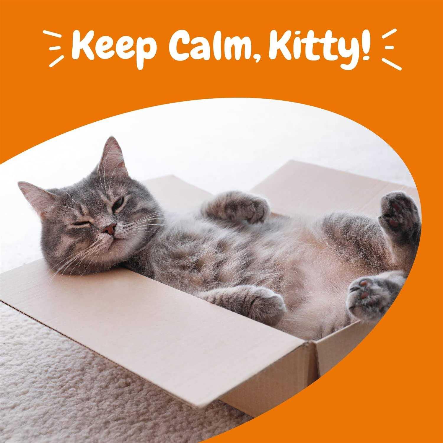 Zesty Paws Calming Bites for Cats - Healthber