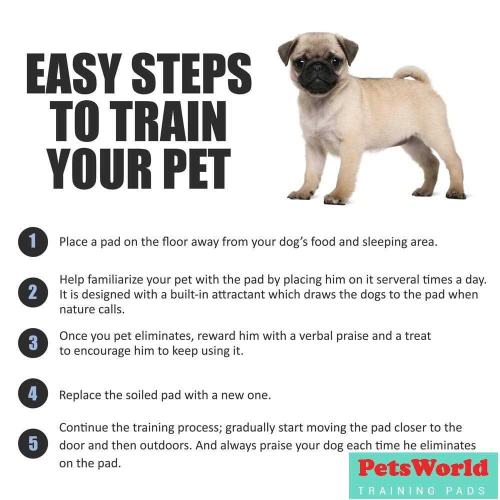 Petsworld Giant Potty Pads Odor Eliminating 36 x Pee Pads for Dogs - Healthber