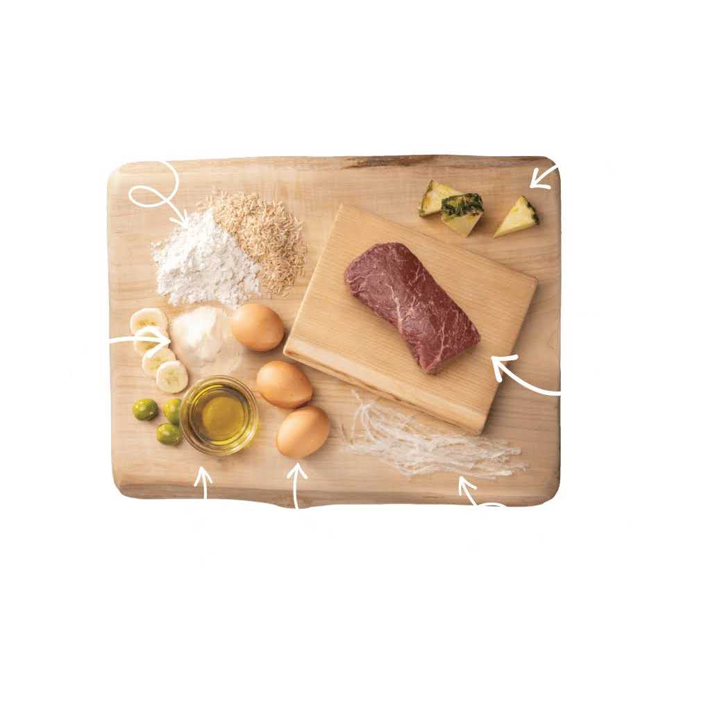 Earth Animal No Hide Strips - Healthber