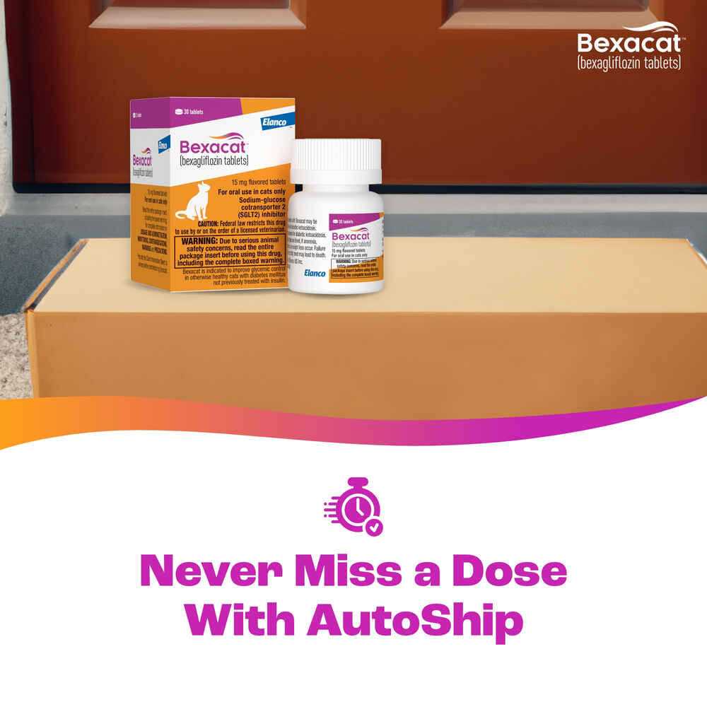 Bexacat for Cats 15 mg - Healthber