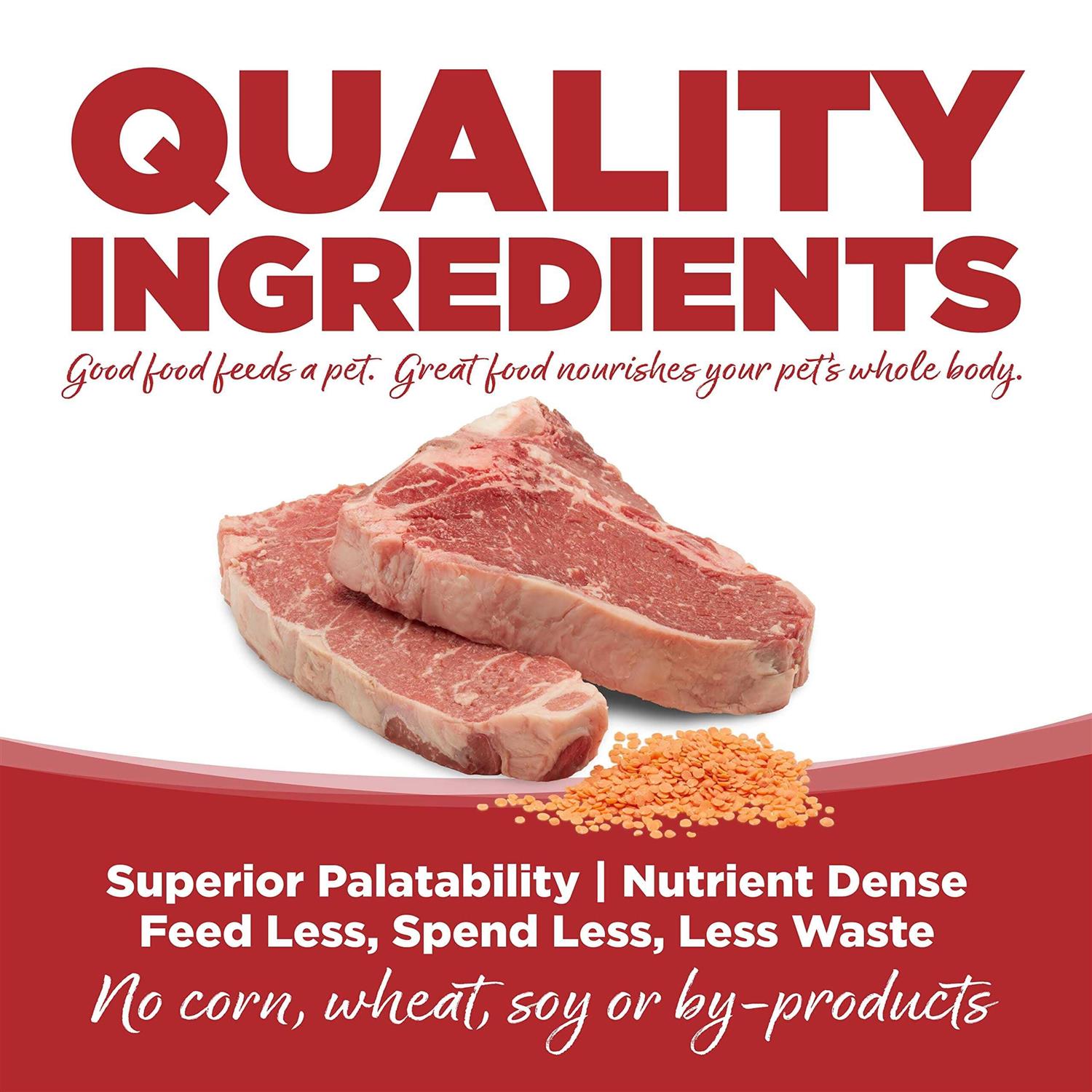 PureVita Beef & Red Lentils Grain Free Dry Dog Food - Healthber