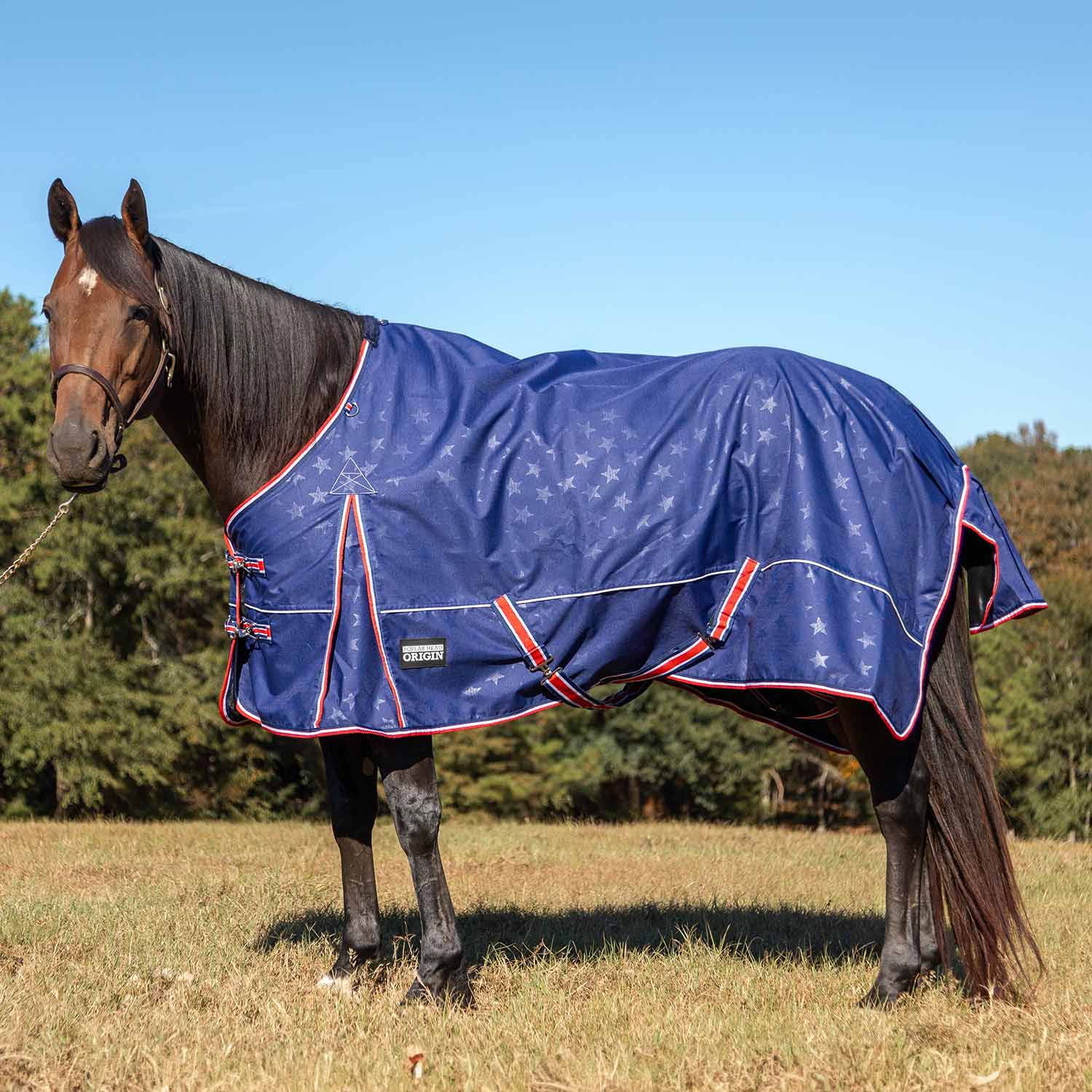 Poplar Head Origin 600 Denier Turnout Blanket, 240 Gram, Allegiance - Healthber