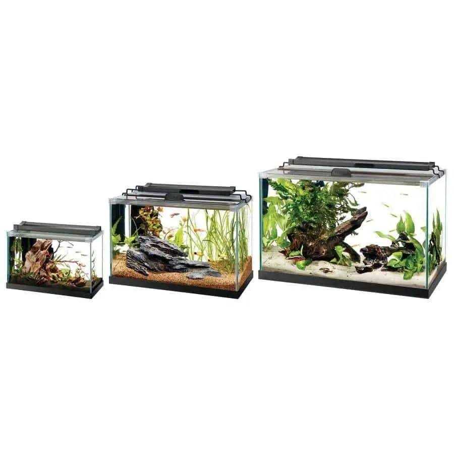 Aqueon Rimless Rectangle Aquarium - Healthber