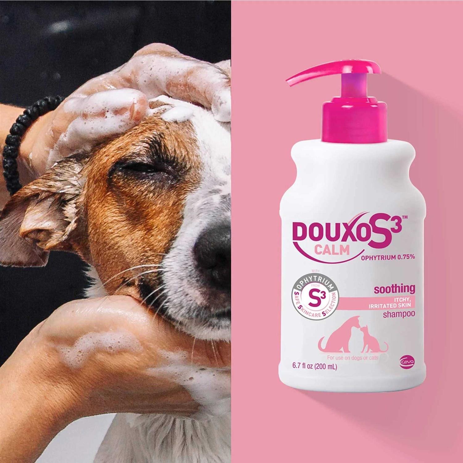 Douxo Calm S3 Shampoo - Healthber