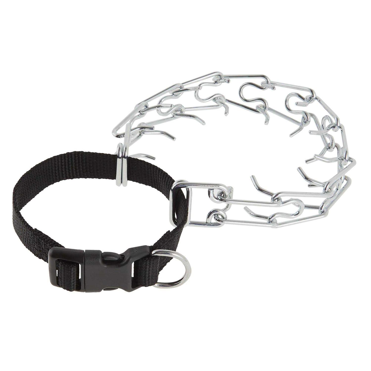 Top Paw Buckle Prong Training Dog Collar - Healthber