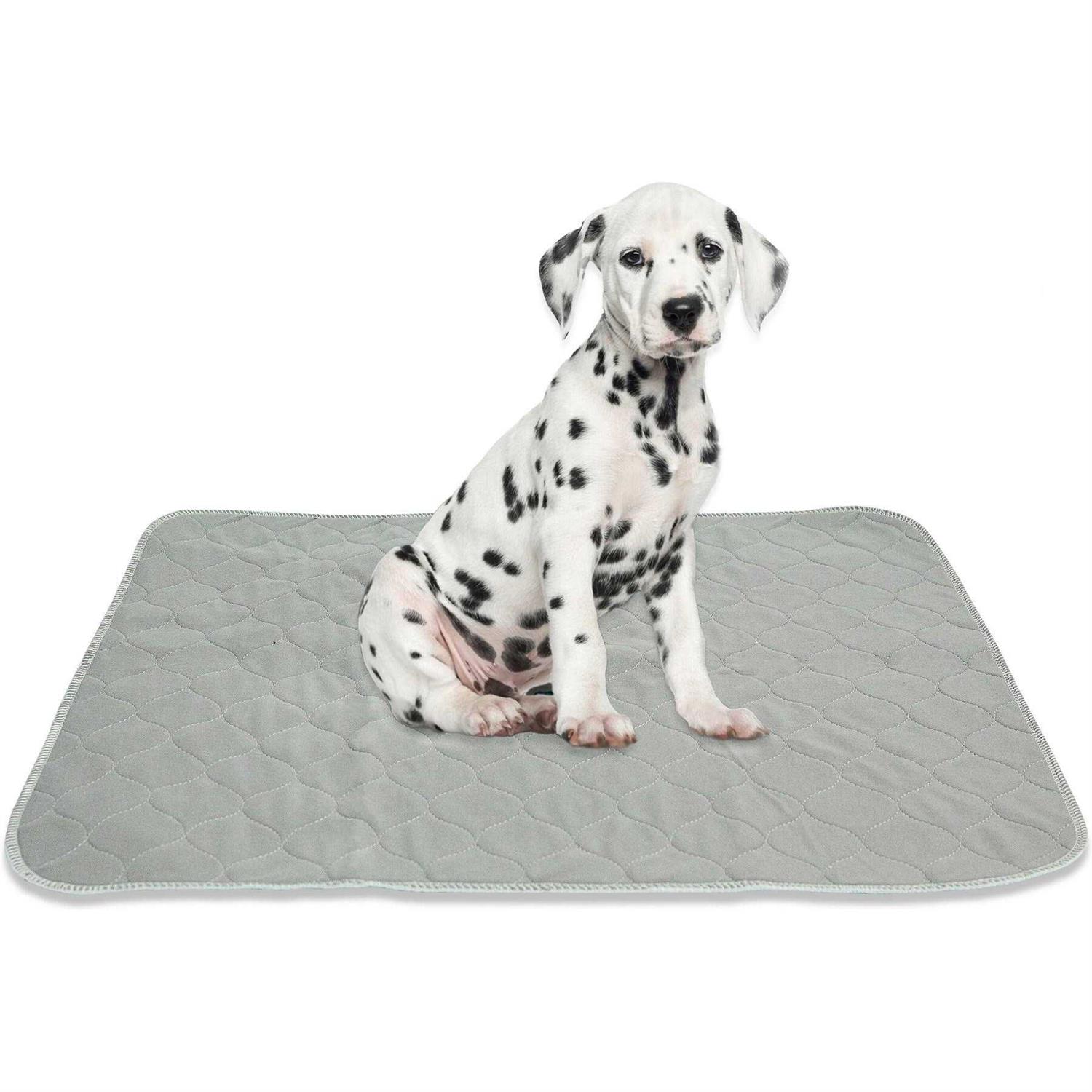 rocket & rex Washable Pee Pads for Dogs Reusable Puppy Pads - Healthber