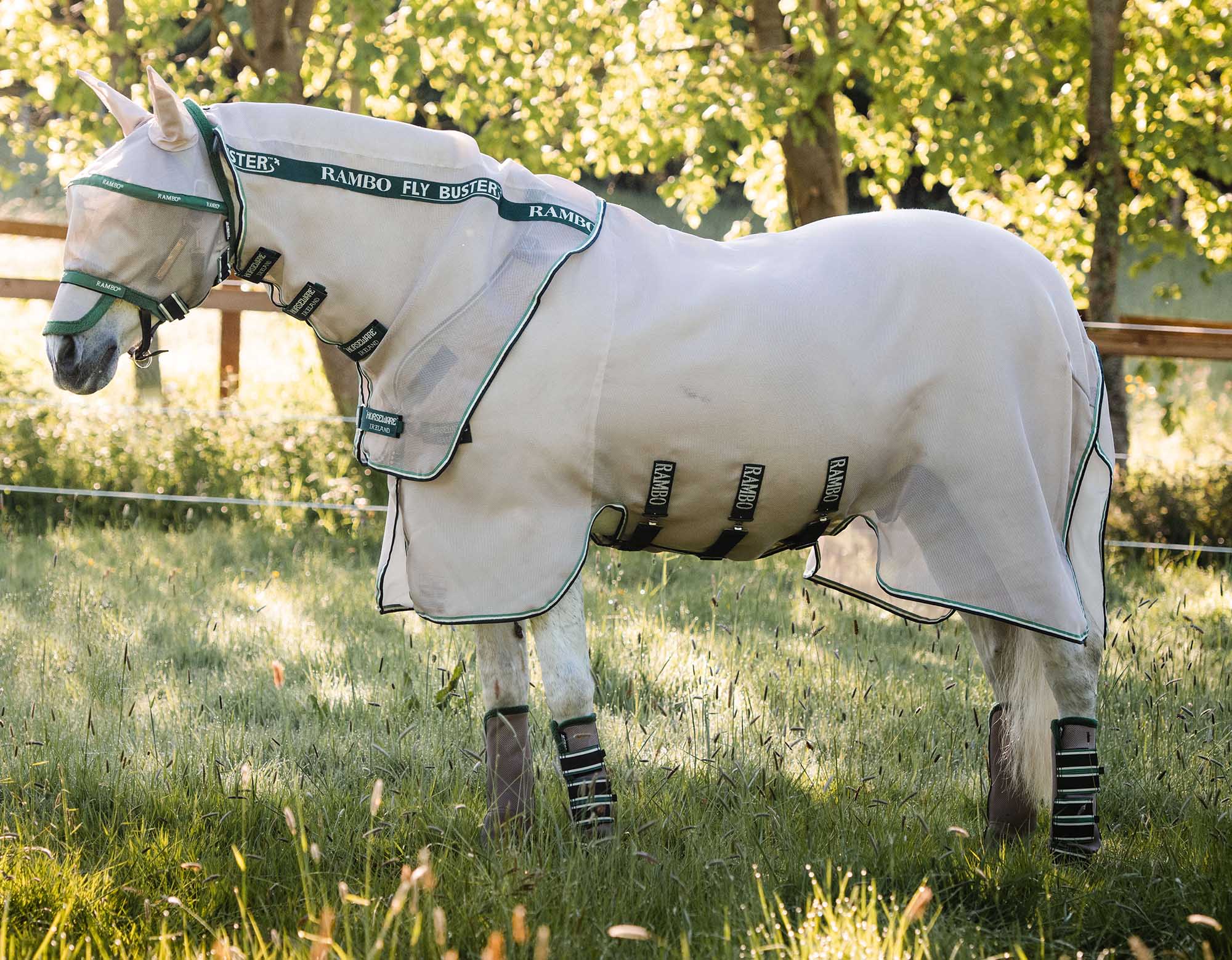Rambo Fly Buster Vamoose with No-Fly Zone Horse Fly Sheet - Healthber