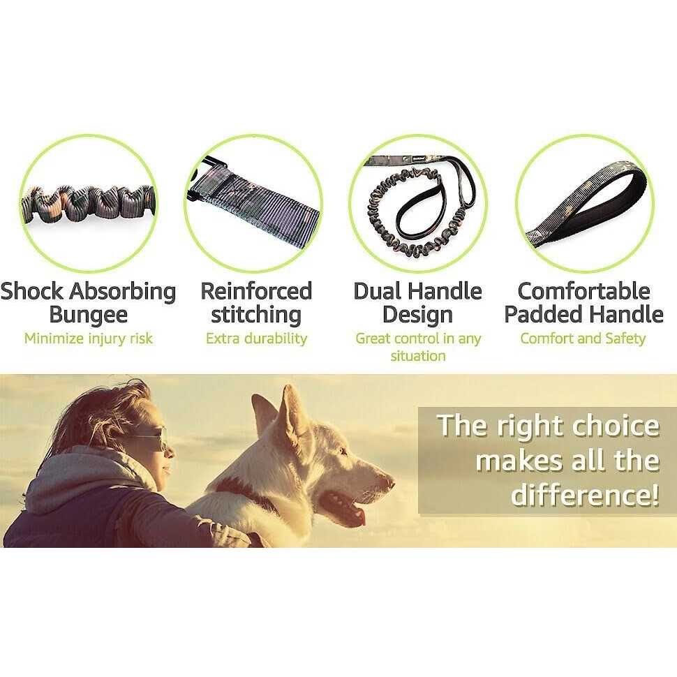 PetSpy Two Handle Dog Leash with Shock Absorbing - Healthber