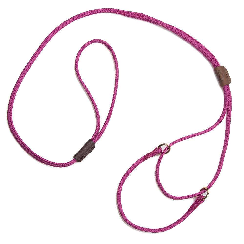 Mendota Martingale Show Lead - Healthber