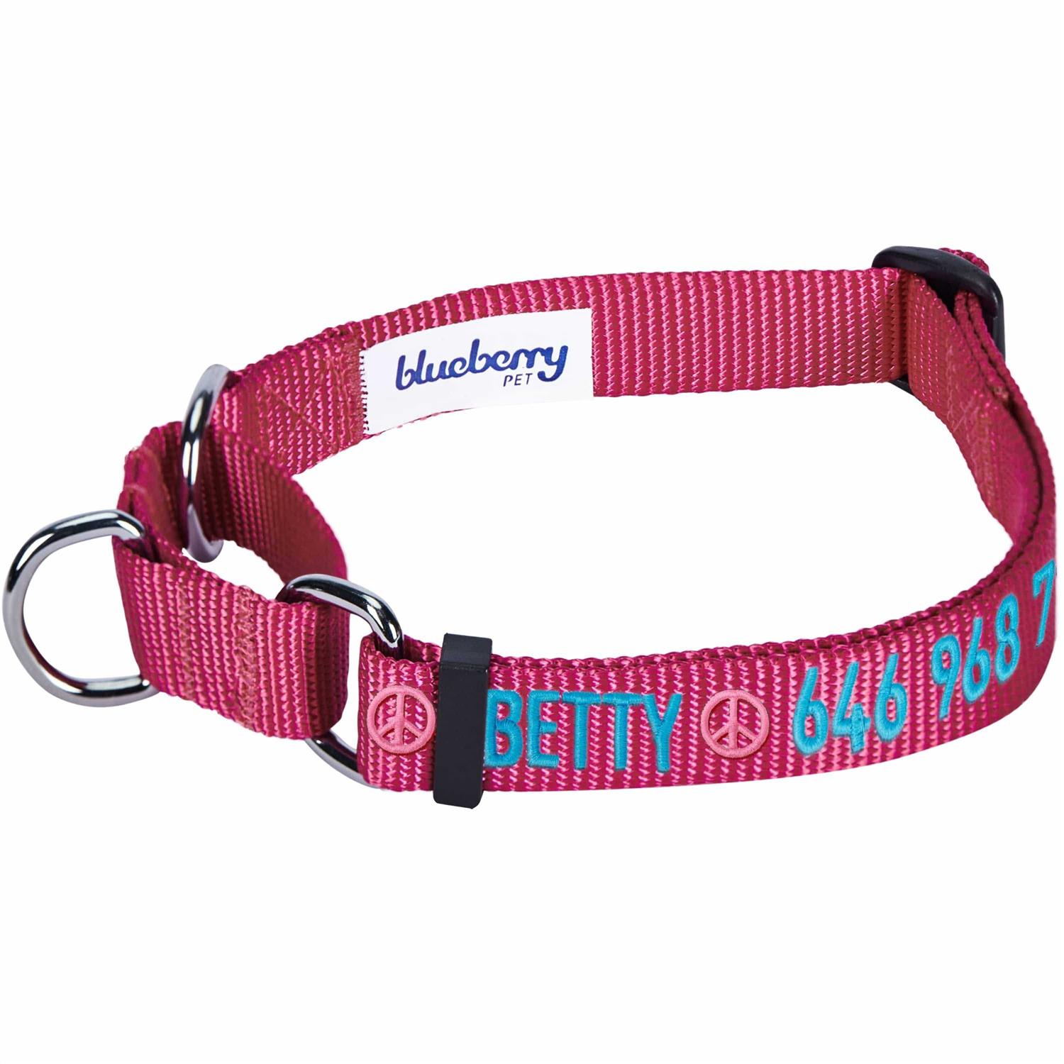 Blueberry Pet Martingale Safety Training Dog Collar - Healthber