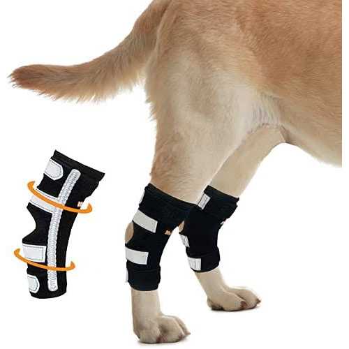 NeoAlly Dog Rear Leg Hock Metal Spring Strips - Healthber
