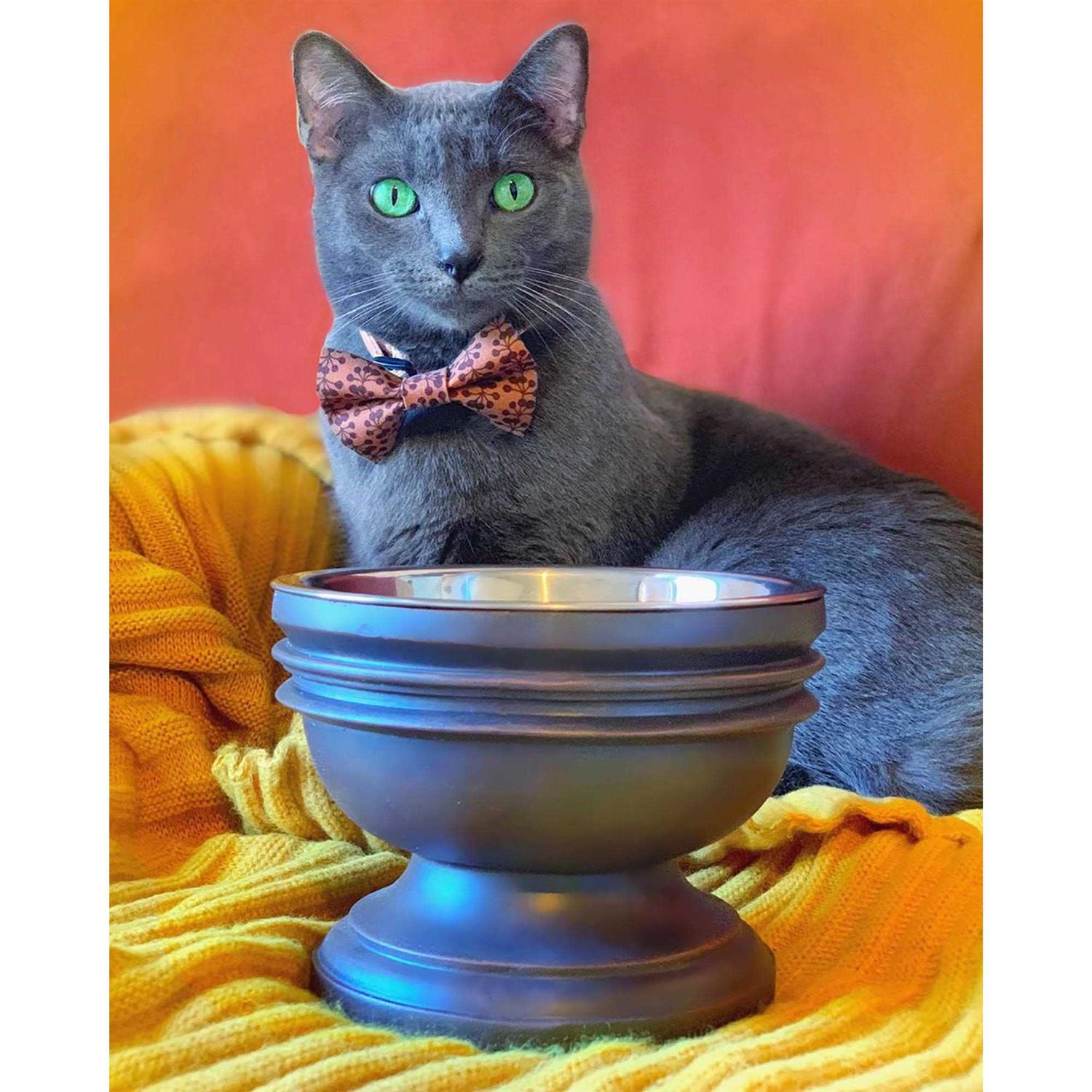 Pet Junkie Summit Elevated Dog Bowl for Food or Water - Healthber