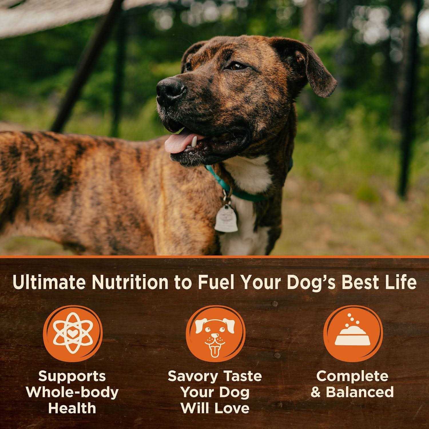 Wellness CORE Grain Free Natural 95% Beef and Carrots Recipe Wet Canned Dog Food - Healthber