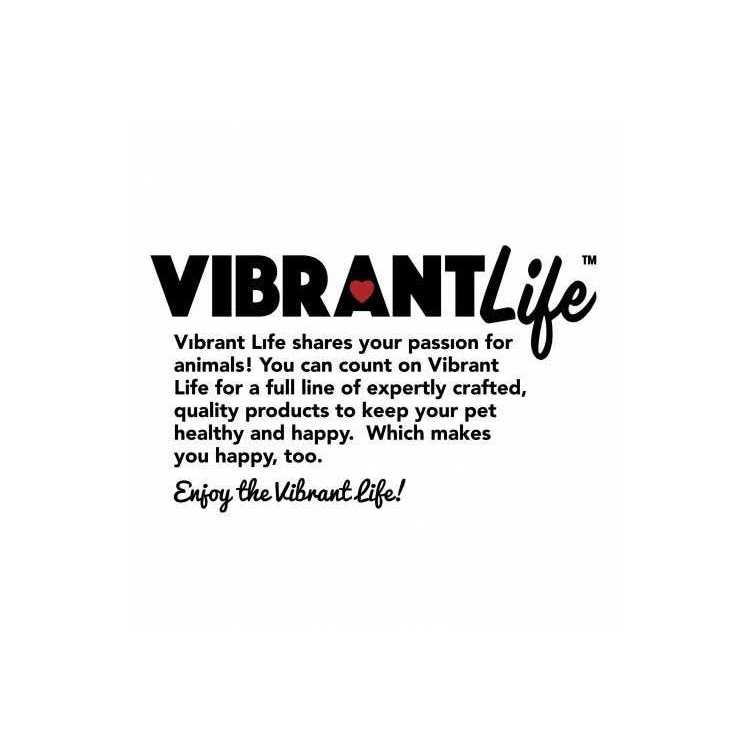 Vibrant Life Reflective Vinyl-Covered Tie-Out for Dogs - Healthber