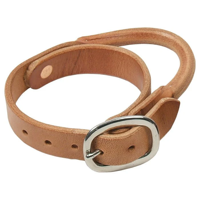 Professional's Choice Schutz Grab Strap - Healthber